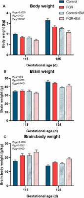 Does Antenatal Betamethasone Alter White Matter Brain Development in Growth Restricted Fetal Sheep?